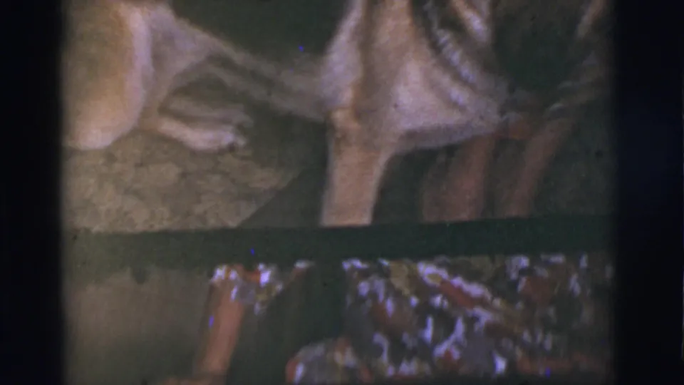 1966 Tucson home-movie frame with the dog seen side-on near the patterned-dress wearer at the edge of the indoor scene.