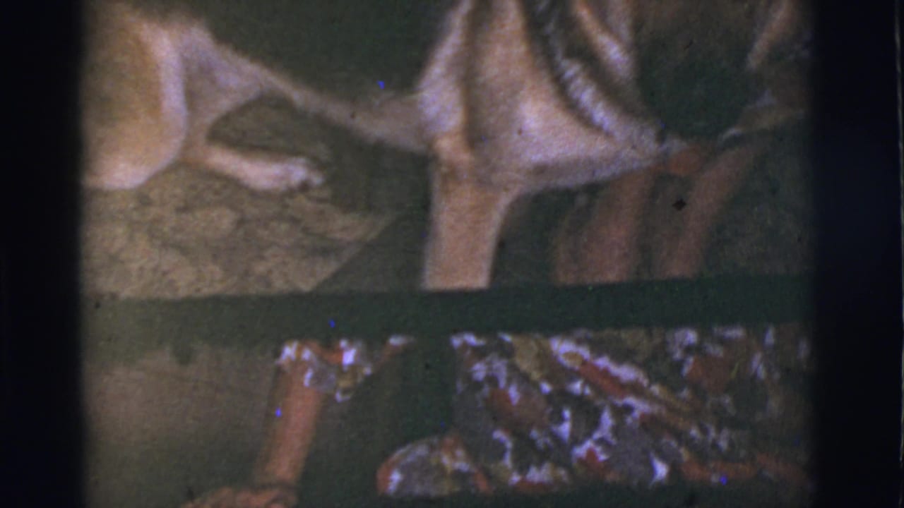 1966 8mm frame from Tuscon, Arizona showing a German Shepherd close beside a woman in a colorful patterned dress indoors.