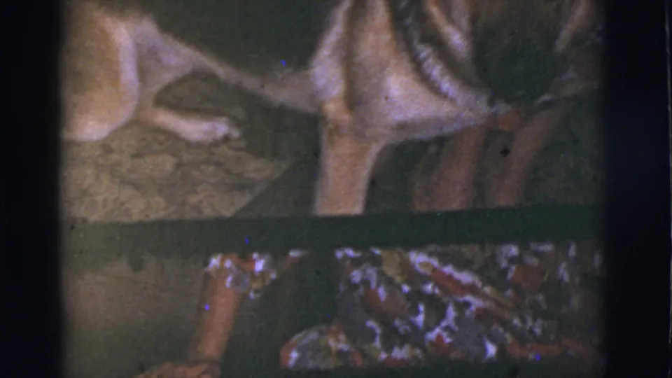 1966 8mm frame from Tuscon, Arizona showing a German Shepherd close beside a woman in a colorful patterned dress indoors.