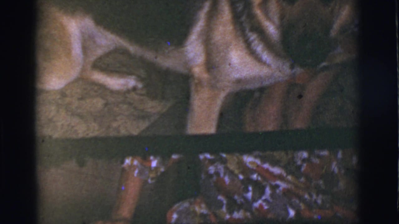 German Shepherd facing the camera beside a woman wearing a colorful dress.