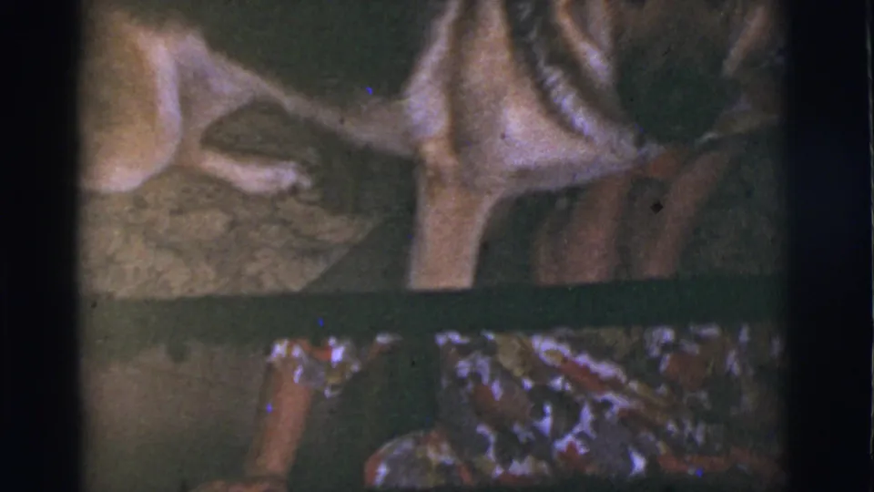 Soft 8mm frame from the 1966 Tuscon, Arizona clip showing the woman's patterned dress and the German Shepherd partly cropped nearby.