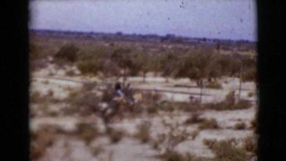 Soft final 8mm frame from the Arizona riding scene, with a blurred horseback rider amid desert scrub and visible color shift.