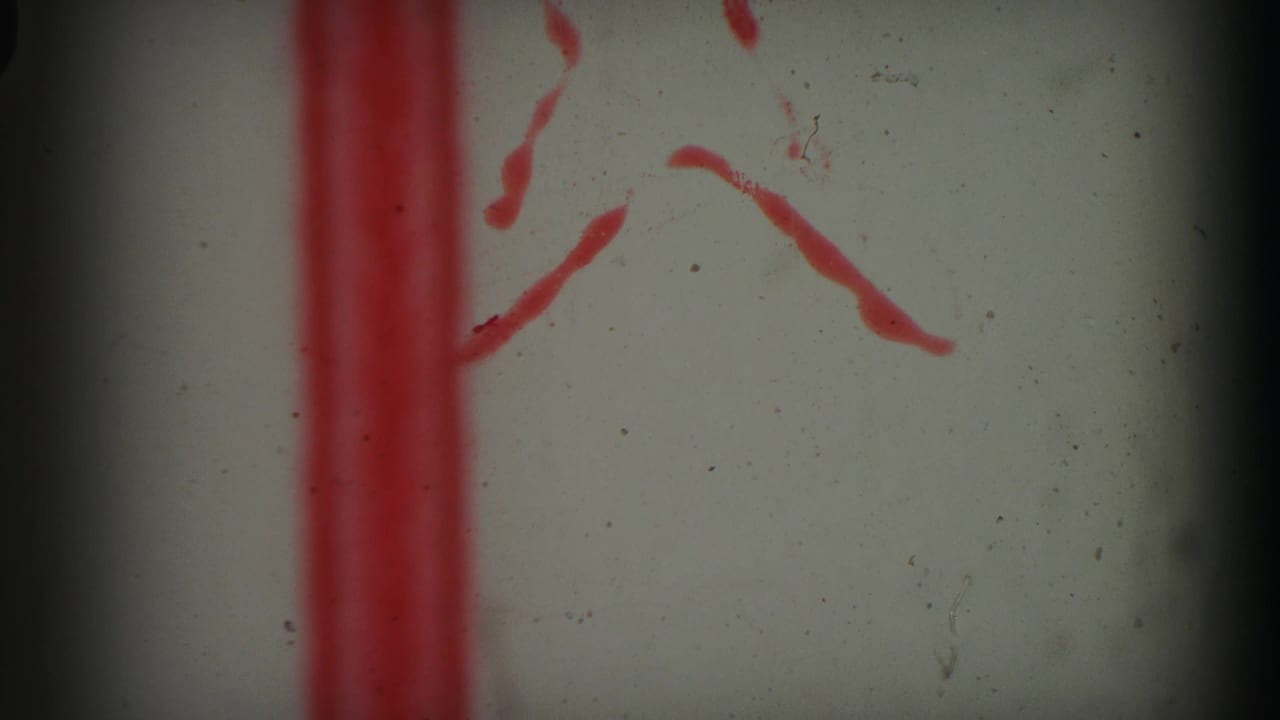 8mm leader-like frame with red markings, pale background, dust specks, and dark film-gate edges.