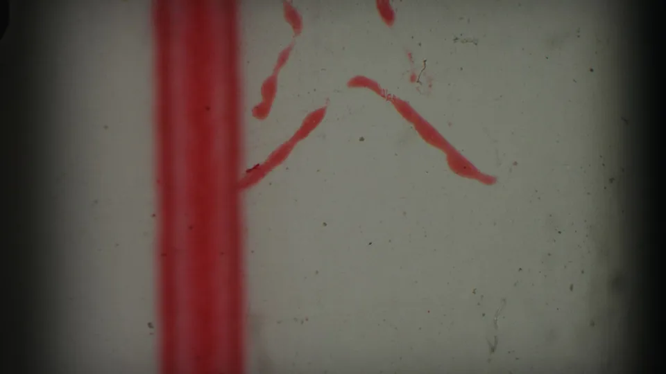 8mm leader-like frame with red markings, pale background, dust specks, and dark film-gate edges.