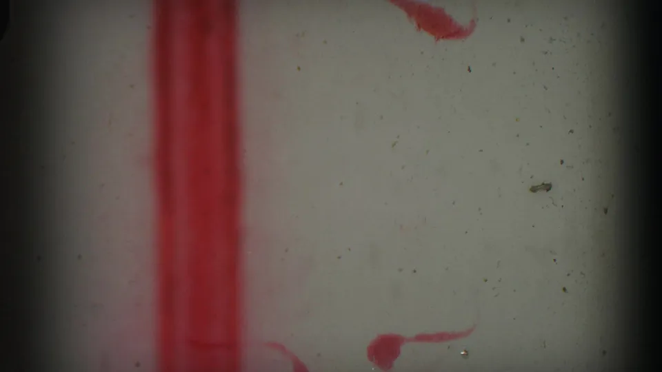 Soft 8mm frame showing red vertical markings along the left side, scattered dust, and dark film-gate borders.