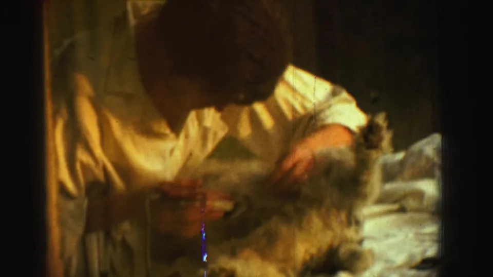 In a 1969 Reno home-movie frame, a woman in a light robe appears to groom a small fluffy dog in a dim private room.