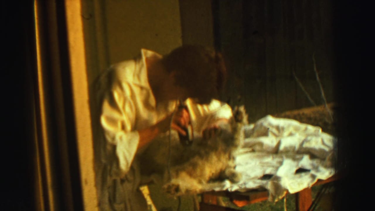 Woman in a white robe bends over a shaggy dog on a small covered table.