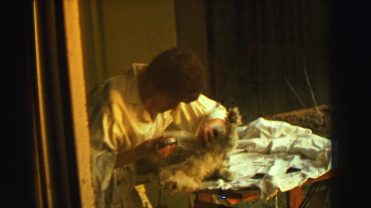 The woman remains bent over the dog, holding a grooming tool near its coat in warm, low-light 8mm footage from Reno, Nevada.