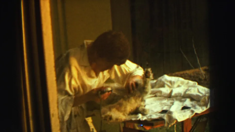 The woman remains bent over the dog, holding a grooming tool near its coat in warm, low-light 8mm footage from Reno, Nevada.
