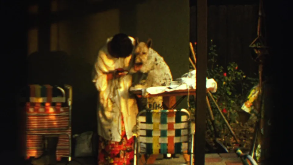 On a covered porch or threshold, the woman holds the shaggy dog upright with striped woven chairs and plants visible nearby.