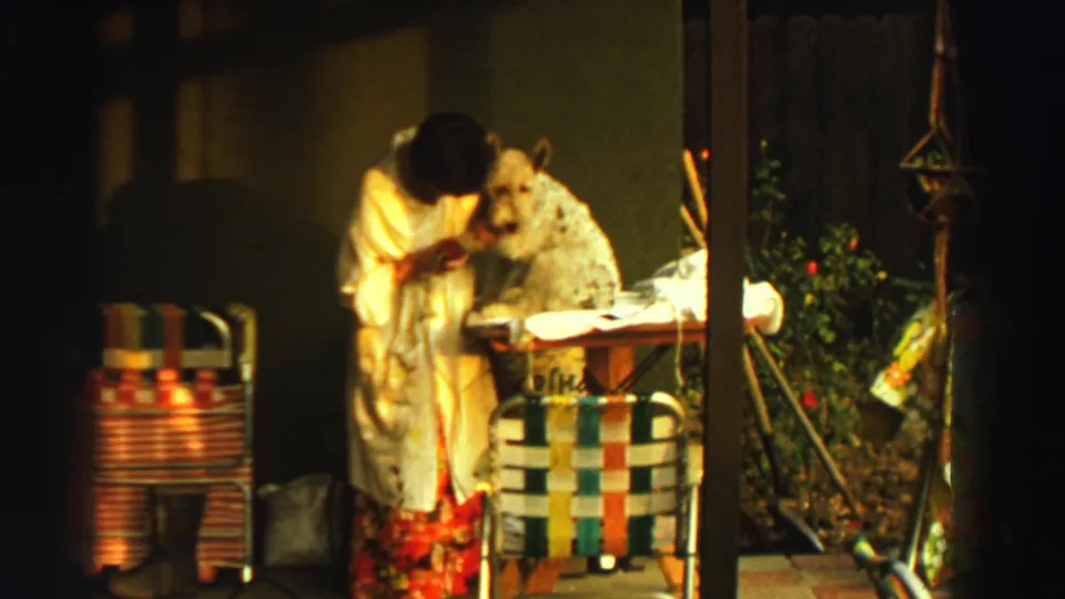 The woman faces the dog on or beside the table, with colorful porch chairs, a white cloth, and greenery framing the domestic grooming scene.