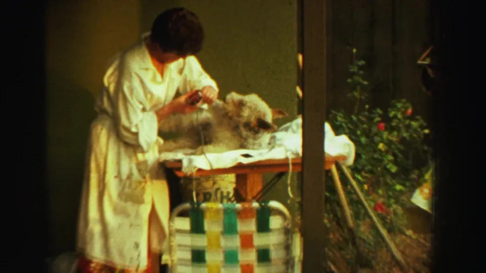 A closer 8mm frame shows the woman leaning over the dog with a trimmer cord hanging from the backyard grooming table.