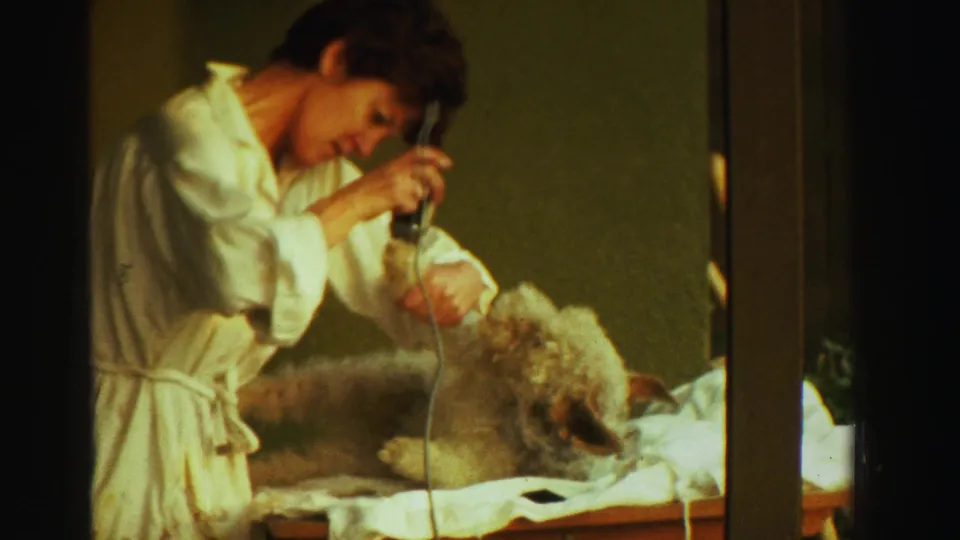 A closer 8mm frame shows the woman trimming the dog's coat on a white-covered wooden table in the Reno home-movie scene.
