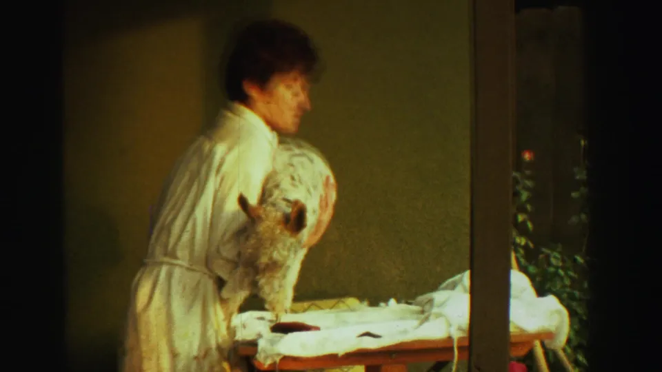 At the end of the 1969 Reno clip, the woman holds the fluffy dog upright near the cloth-covered grooming table.