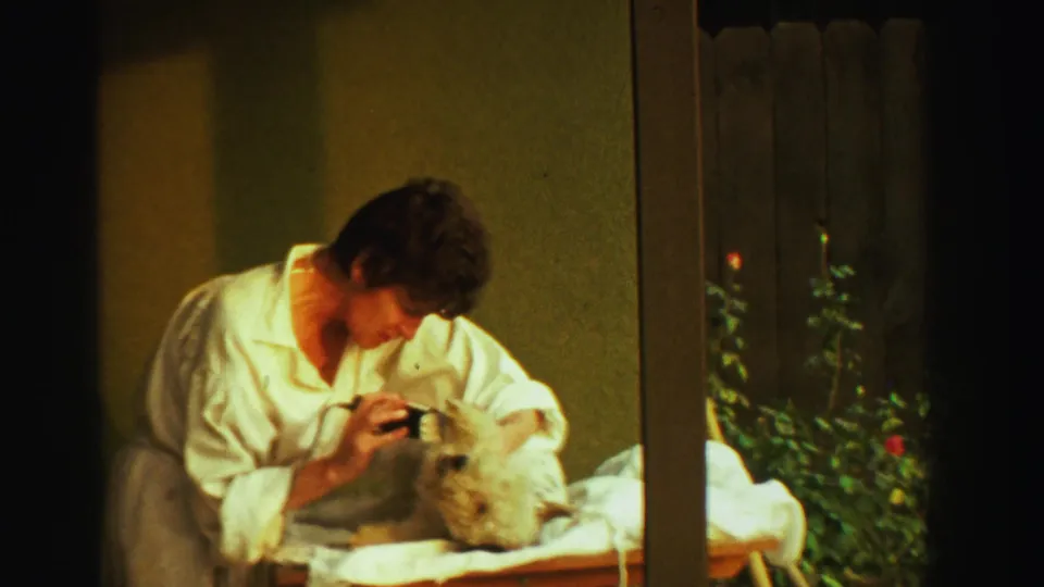 A close grooming moment shows the woman using clippers near the dog's head on the cloth-covered table in 1969 Reno footage.