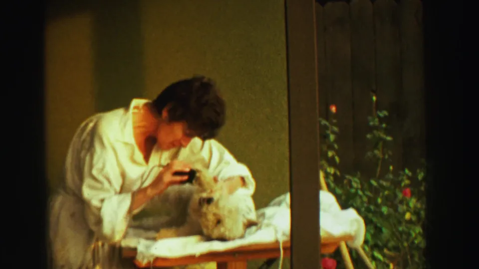 The final frame shows the woman continuing to groom the small dog outdoors, with fence boards and rose bushes behind them.
