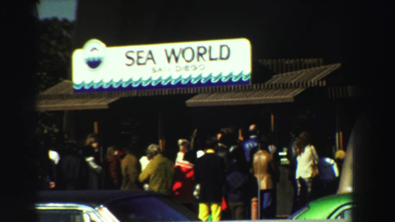 Crowd at the Sea World San Diego entrance in a 1969 8mm home-movie frame, with the sign glowing above the gate.