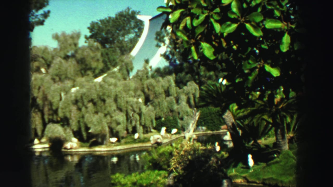 Reno, Nevada park pond scene from 1969, showing water, white birds, trimmed grass, dense trees, and a distinctive building form in the distance.