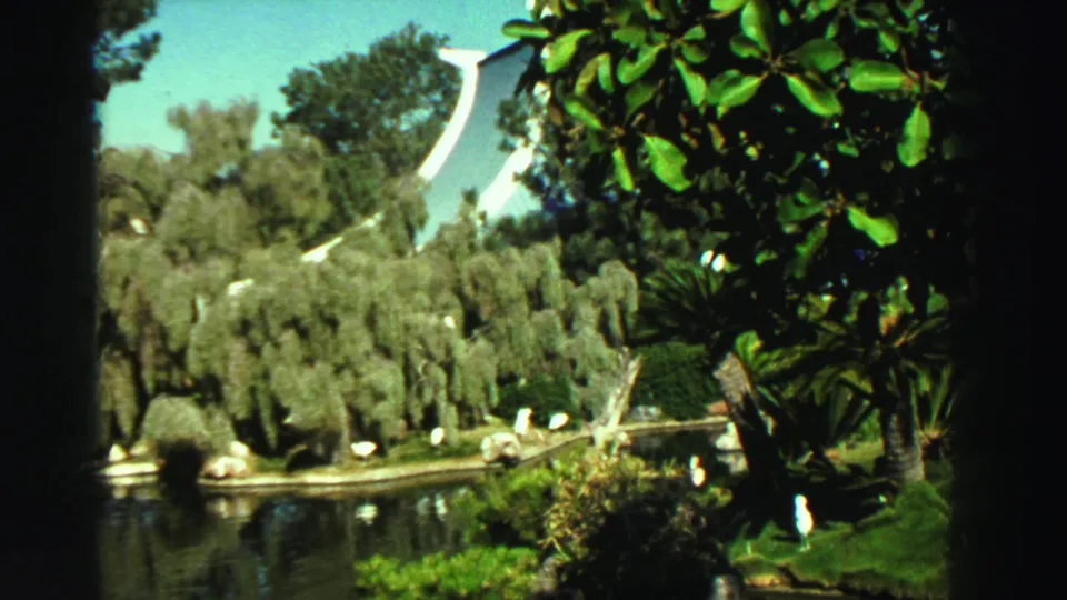 Reno, Nevada park pond scene from 1969, showing water, white birds, trimmed grass, dense trees, and a distinctive building form in the distance.