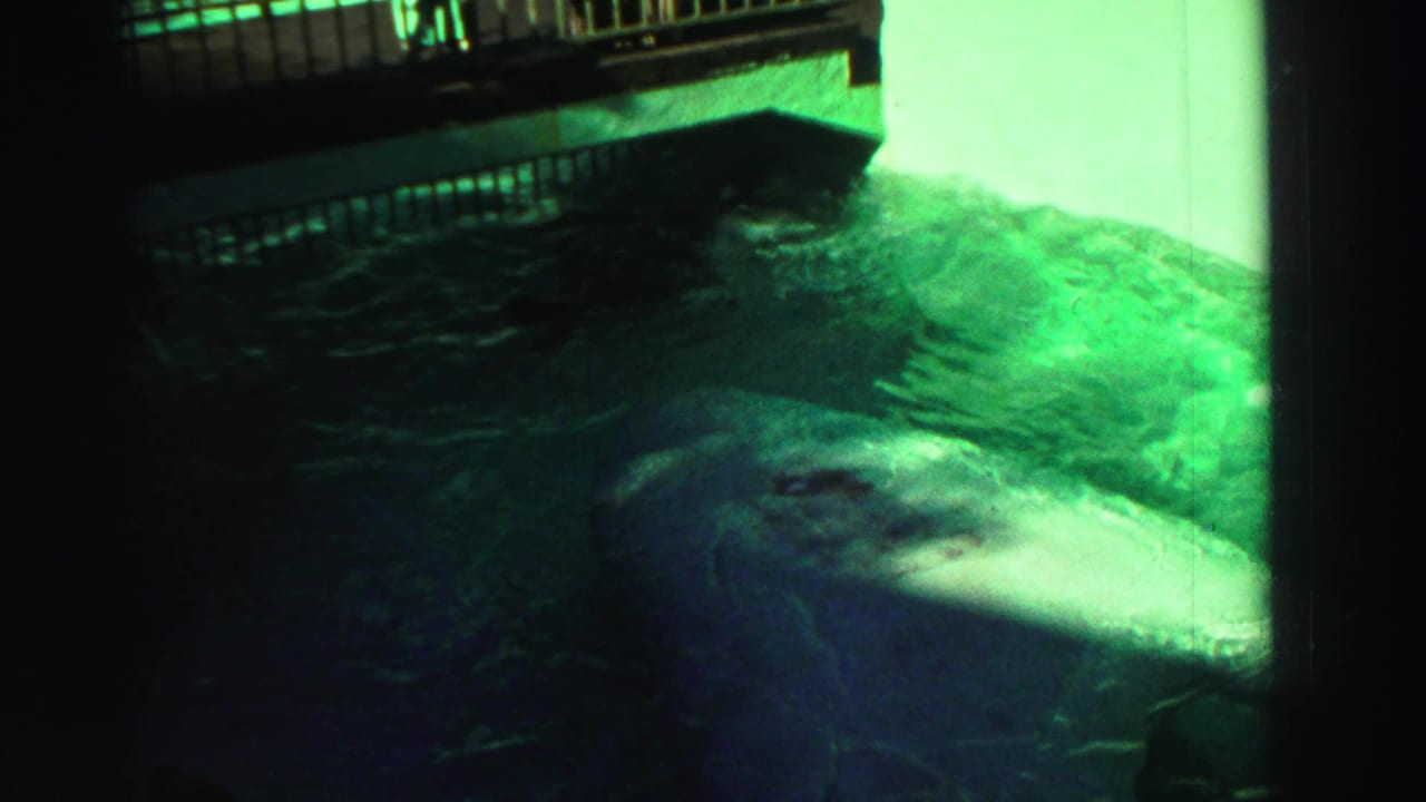Green-tinted 8mm underwater view in Reno showing a large fish passing beneath a railing or platform edge.