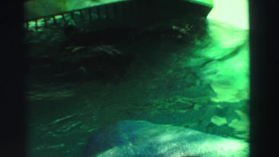 Underwater 8mm frame from the Reno clip showing a fish near the bottom edge under a dark rail or platform shadow.