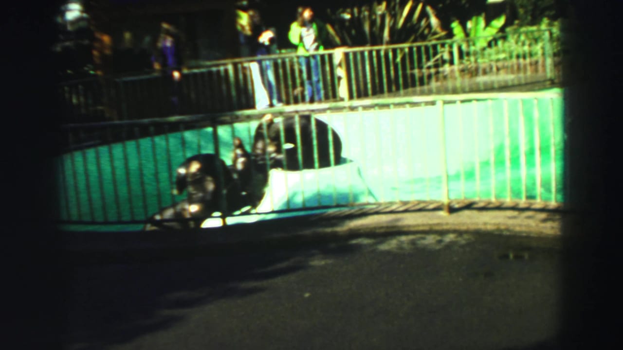 Visitors stand along the railing above a seal pool in Reno, Nevada, with dark seals visible near the enclosure edge.