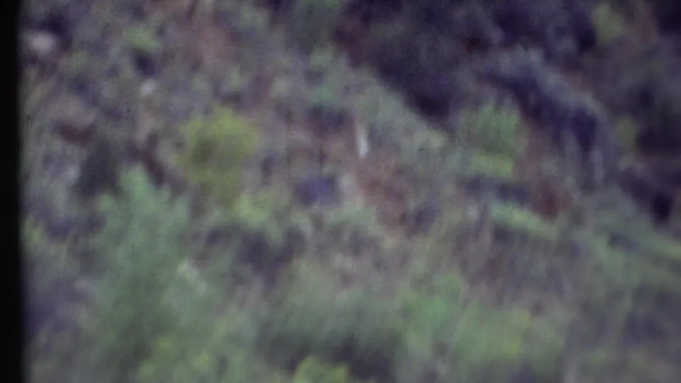 1972 8mm Grand Canyon travel footage showing a blurred rocky slope with scattered scrub vegetation.