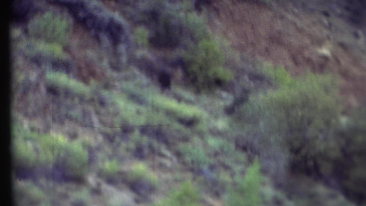 Rocky hillside with scattered green shrubs and dark canyon textures.
