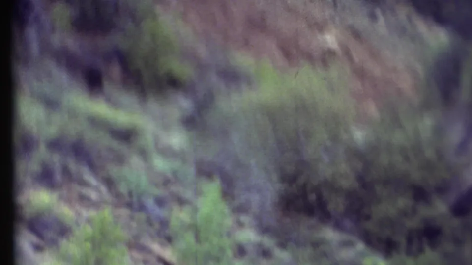 1972 8mm travel frame with motion-blurred canyon brush and rocky ground near the roadside.