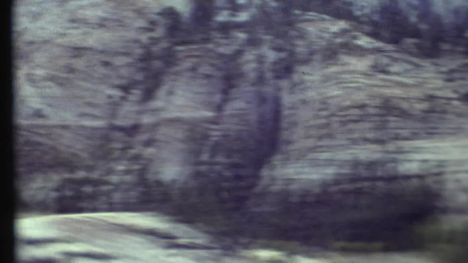 A soft, blurred 8mm view of Grand Canyon rock strata, roadside ground, and sparse trees during a moving-vehicle pass.