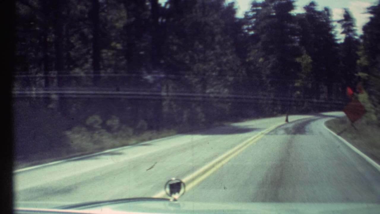 Two-lane forest road seen through a car windshield with a construction sign ahead.