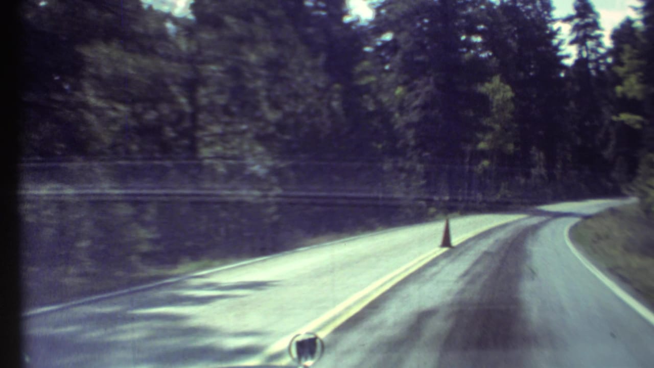 Curving paved road through forest with an orange cone near the centerline.