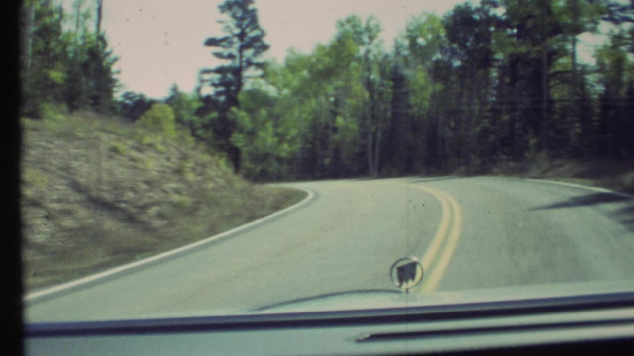 Curving two-lane road seen over a car hood with trees and grassy slopes ahead.