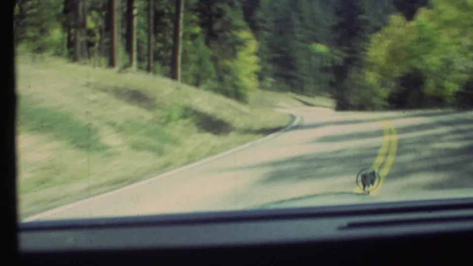 1972 8mm Grand Canyon area driving view with a descending curve, forested hillside, yellow road lines, car hood edge, and hood ornament.