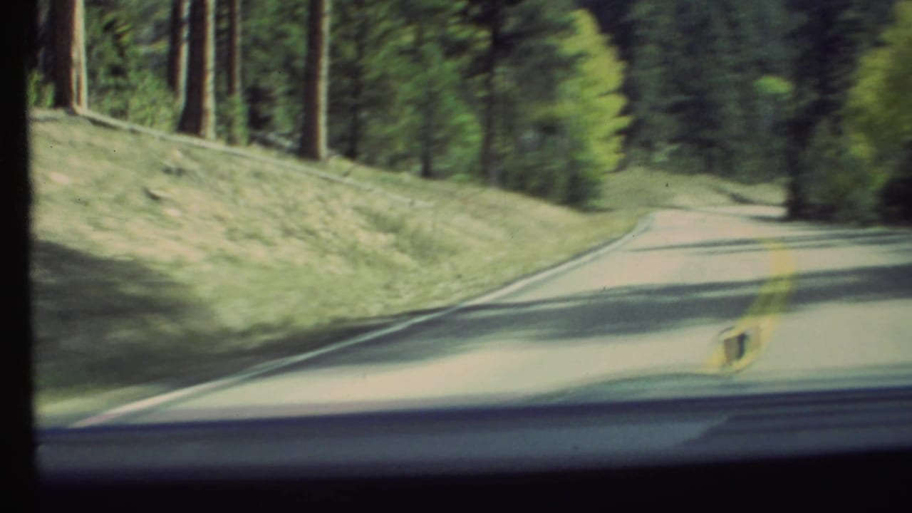 Two-lane paved road curving through pine trees, viewed over the front of a car.