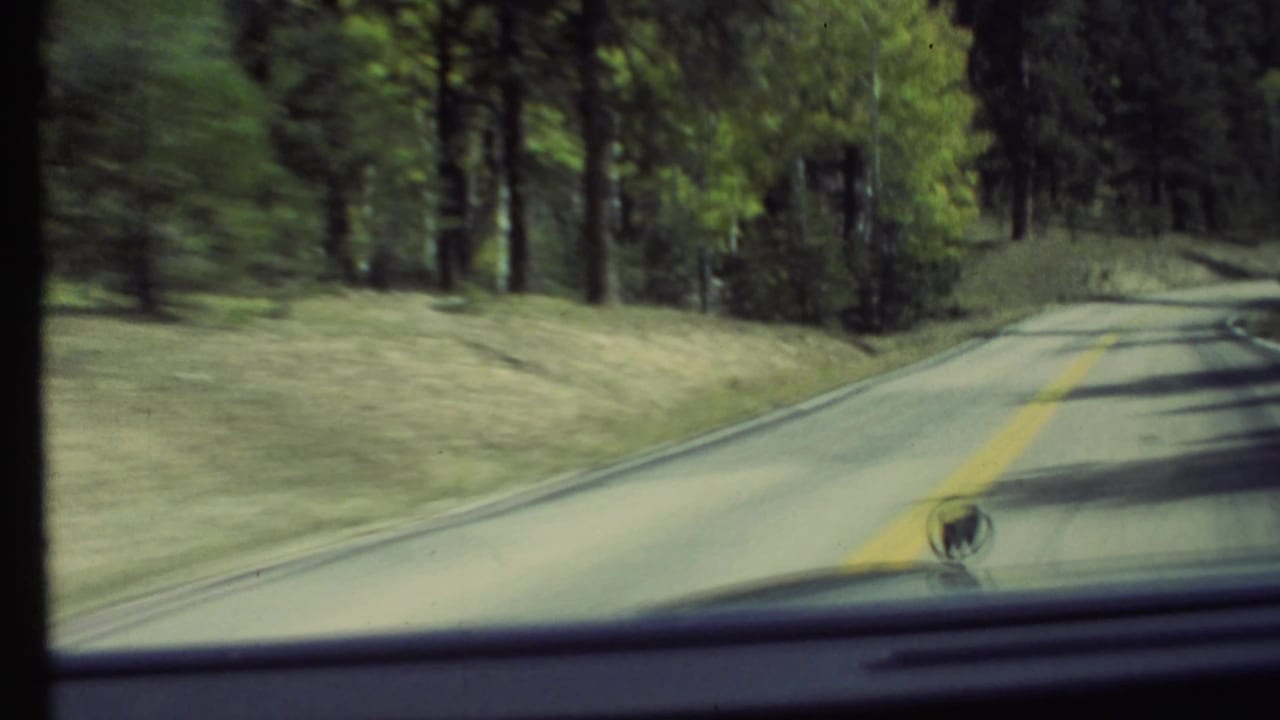 Paved road bends right through a wooded area, seen from inside or over a car.