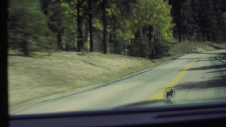 Driver-perspective 1972 8mm frame of a road bending through pine trees near Grand Canyon, Arizona, with road markings and car hood visible.
