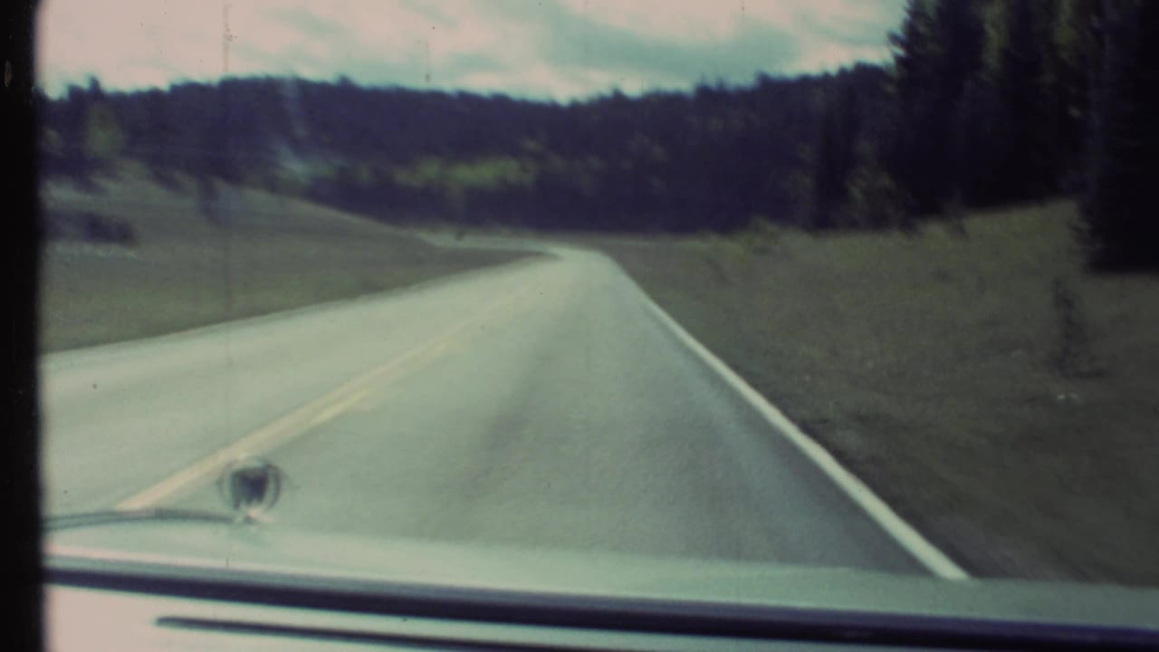 Car POV along a curving Arizona park approach road, with grassy shoulders and dense pine forest visible.