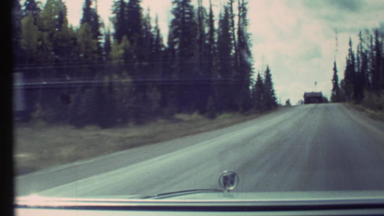 Windshield view of a forested road from inside a moving car.