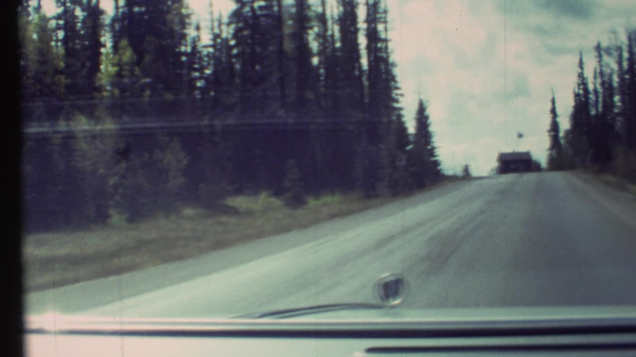 Car windshield view of a road bordered by tall evergreen trees.