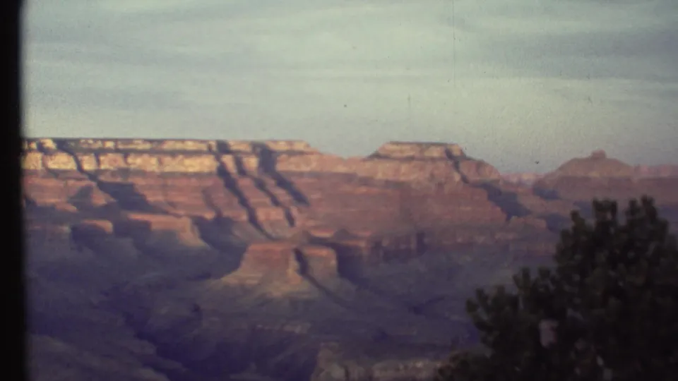 1972 Grand Canyon home-movie frame with stratified rock formations, distant buttes, and a dark evergreen tree at the right edge.