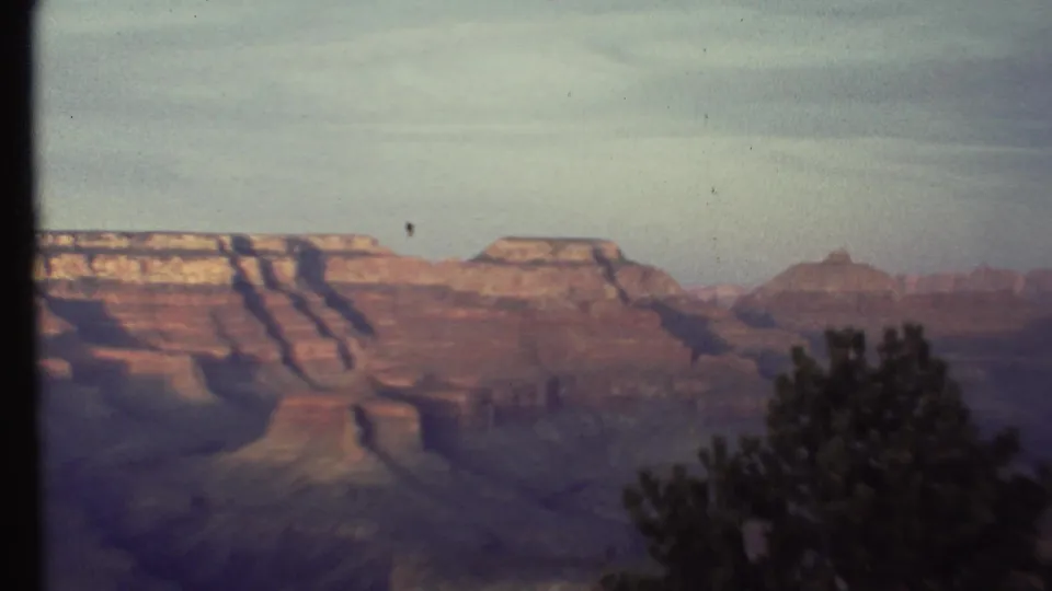1972 8mm Grand Canyon view with broad cliffs, distant formations, hazy sky, and evergreen branches entering the lower right foreground.