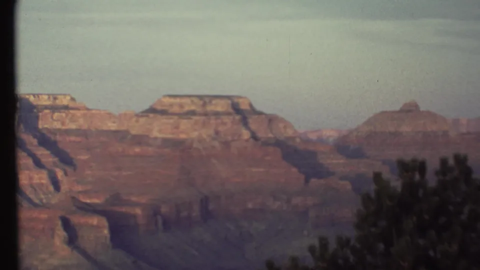 1972 Grand Canyon 8mm frame showing warm layered cliffs, distant canyon depth, and dark evergreen branches along the right foreground.