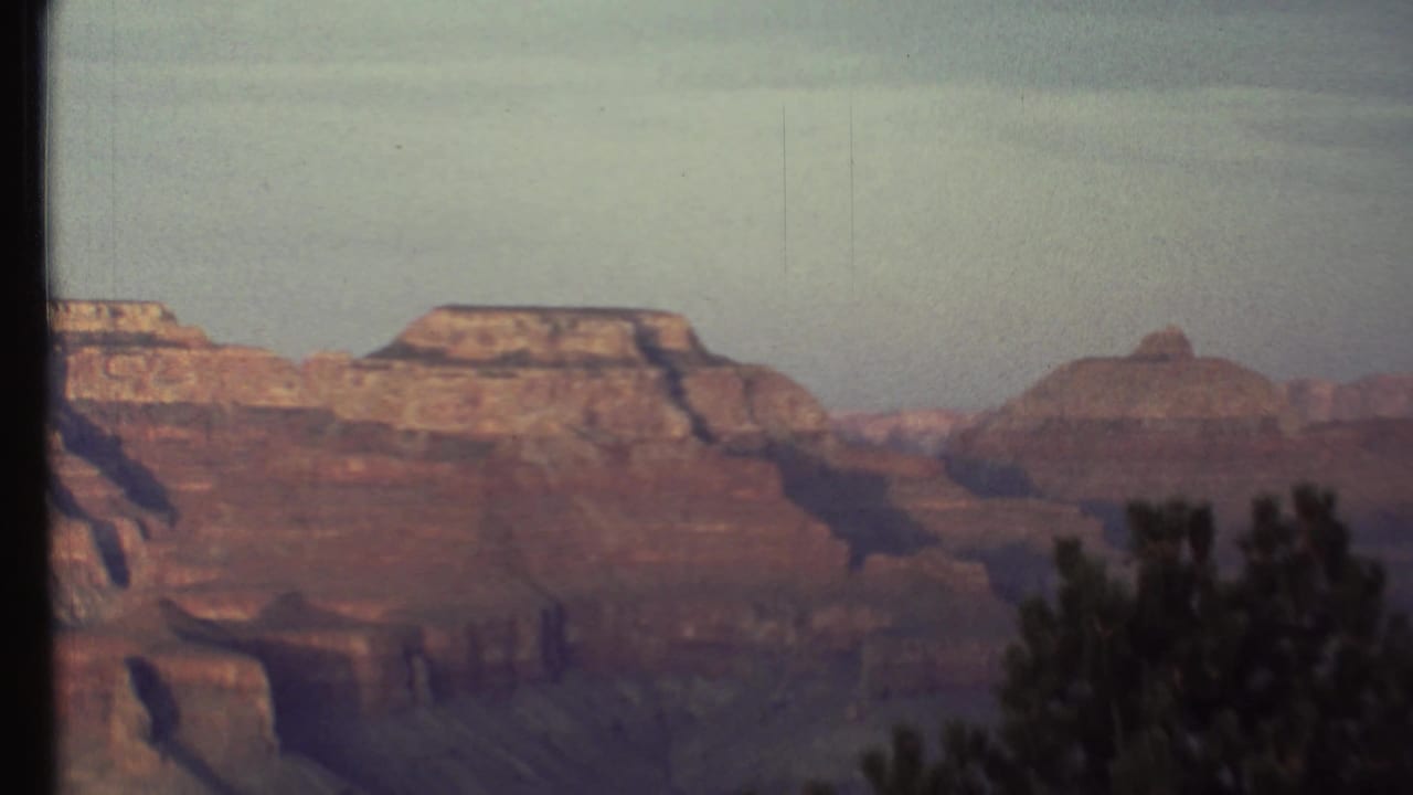 1972 8mm view of the Grand Canyon with reddish layered cliffs, pale sky, and a dark evergreen partially framing the lower right.