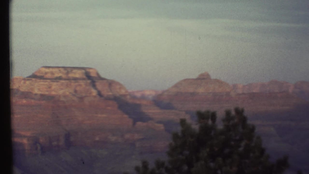 Similar canyon panorama with red cliffs, hazy sky, and dark foreground tree branches.