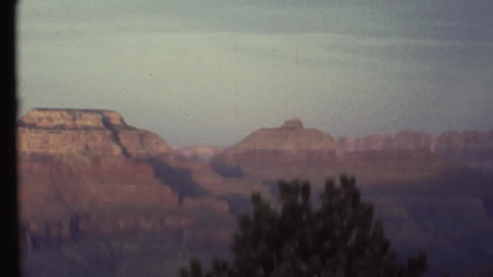 Softer 1972 Grand Canyon frame with muted red cliffs, a pale sky, and dark evergreen branches rising from the lower center.