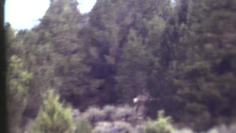 1972 8mm Grand Canyon home-movie frame with a blurred outdoor view of trees and brush before the folk dance scene becomes clear.