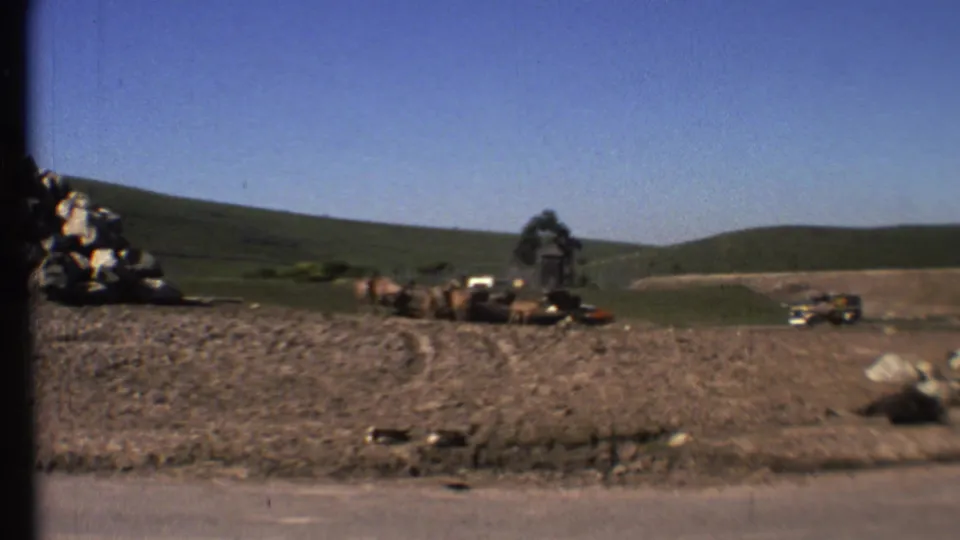 1972 8mm rural roadside scene near the Grand Canyon area with cattle, a small structure, distant cars, and open land.