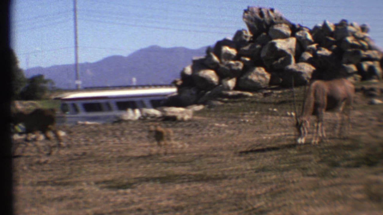 1972 Grand Canyon-area 8mm frame with antelopes grazing near a piled-rock feature, dry ground, and a white tour bus in the background.