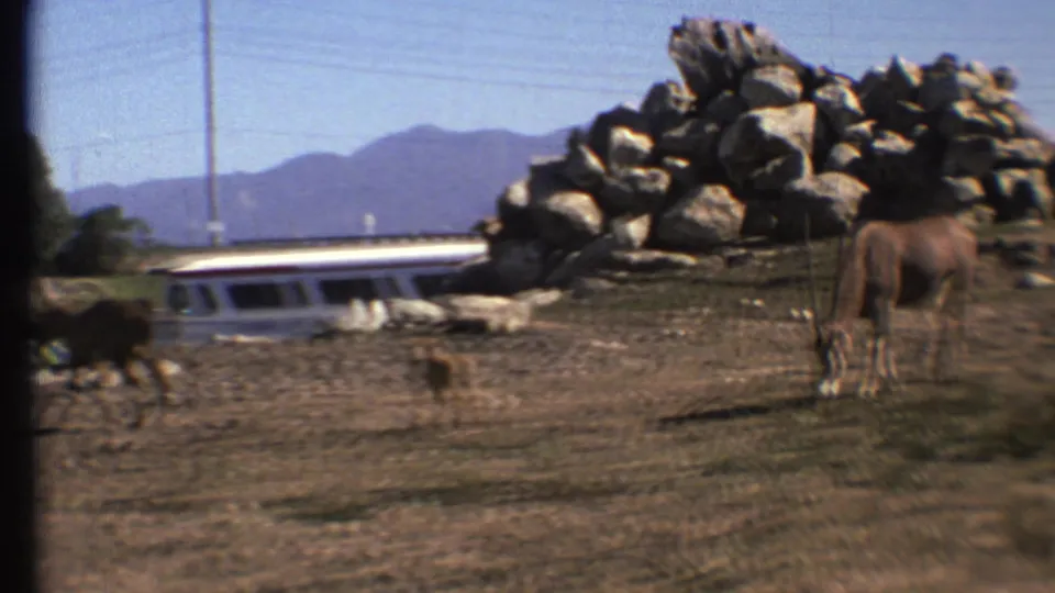 1972 Grand Canyon-area 8mm frame with antelopes grazing near a piled-rock feature, dry ground, and a white tour bus in the background.